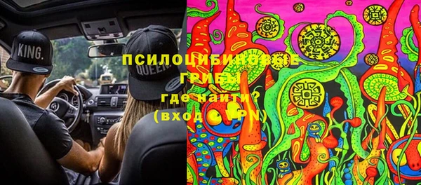 прущие грибы Балабаново