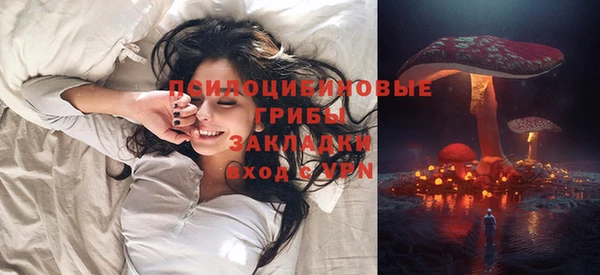 прущие грибы Балабаново