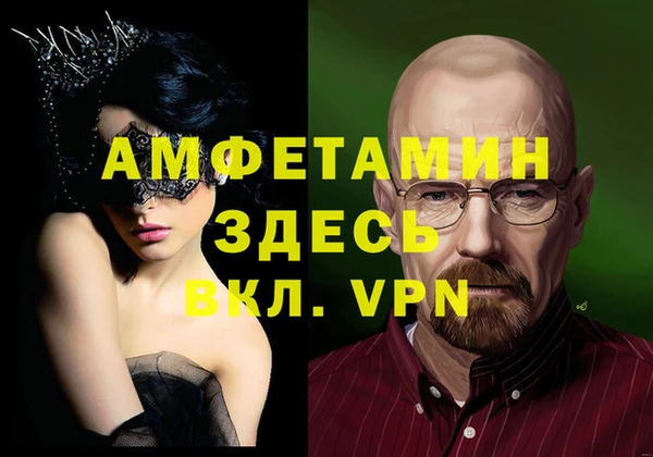 прущие грибы Балабаново