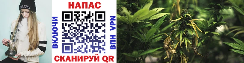Шишки марихуана Ganja Гурьевск